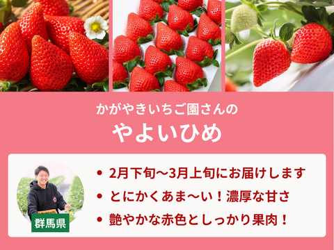 【売り切れ】　【限定100セット】いちごグランプリ受賞いちご食べ比べ便【Aコース】（食べチョク公式）