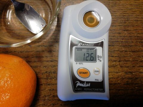 温州ミカン　2.5㎏前後【農薬化学肥料不使用】【甘み酸味バランス◎】【熨斗(のし)対応可】