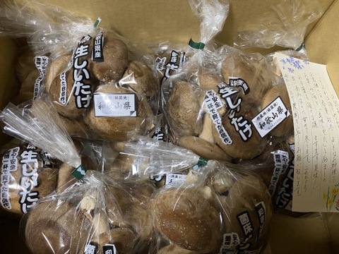 2㎏まとめ買い！肉厚ボリュームの菌床生しいたけ（２㎏）