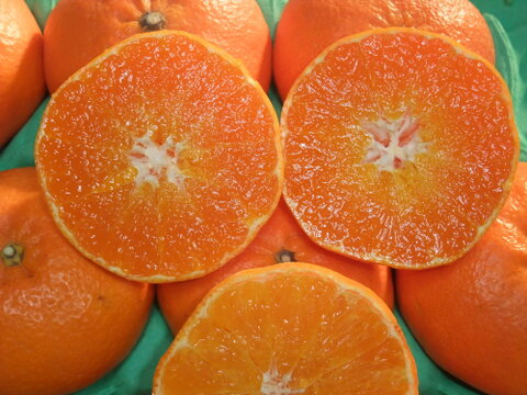 プチプチ甘～い！ひめまる甘平【訳あり・家庭用３Kg】