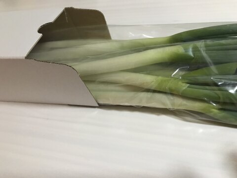 群馬県産長ネギ10本！取れたて！甘くて美味しい！