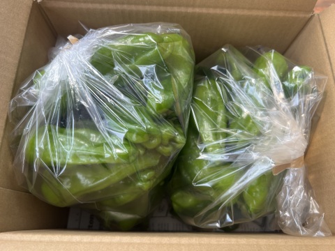 ☆有機JAS認証☆朝採れ新鮮！ピーマン1㎏：栃木県産の野菜｜食べ