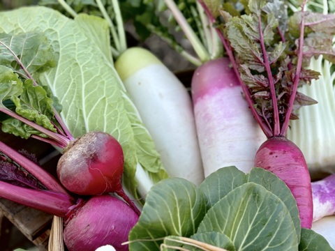 Lサイズ｜信州産｜モリモリ！冬野菜の玉手箱