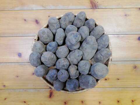 ジャガイモ(ノーブルシャドー)2.5～３㎏程度【農薬化学肥料不使用】【合わせ買い可】【熨斗(のし)対応可】