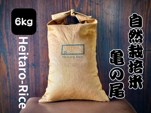 【新米令和７年】『Heitarō Rice』秘境 金山町産　幻のお米 亀ノ尾6kg