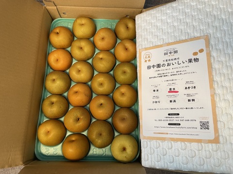 甘く瑞々しい 船橋の完熟梨  "ふぞろいの梨たち" 5kg【幸水・豊水・あきづき・かおり・新高】千葉県船橋市のあま～い梨！【常温便・夏ギフト】新鮮 な朝どれの美味しい”なし”を直送