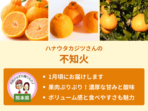 【限定300セット】旬の柑橘フルコース便（食べチョク公式）