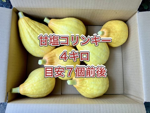 【鹿児島産】甘塩コリンキー箱込み4キロ^_^