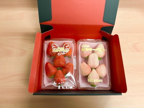 ギフトBOX入り贈答用『紅白セット』フレーズのこだわりいちご1箱550g