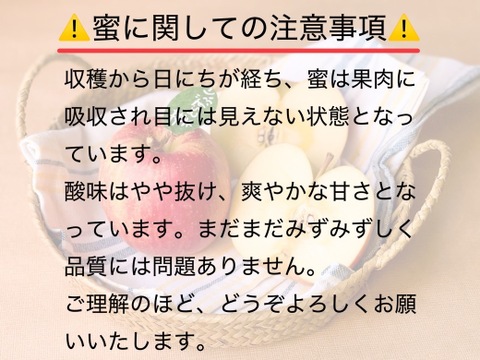 ★★大幅値下げ★★【食べ比べ】🍎葉とらずふじ🍏王林（家庭用１３～２０玉）約５キロ　ID124974 青森 りんご