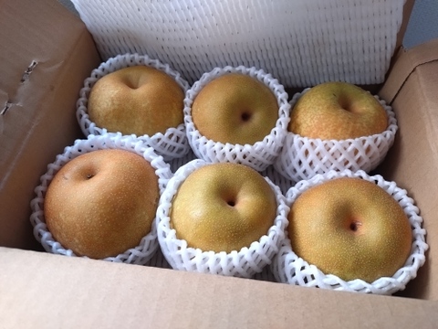 【幸水２ｋｇ】高原の「幸水」は硬さ、シャリ感、ジューシー、甘さが違う。④海藻エキス投与で、コクと旨味のある梨にグレードアップ！【秀品】先行販売3