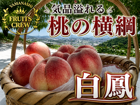 【桃の横綱気品あふれる白鳳】本場山梨の品種指定キャンペーン🍑王道の甘み×爽やか酸味☆夏ギフトの定番✨お試し約1㎏🍑7月上旬～発送🍑