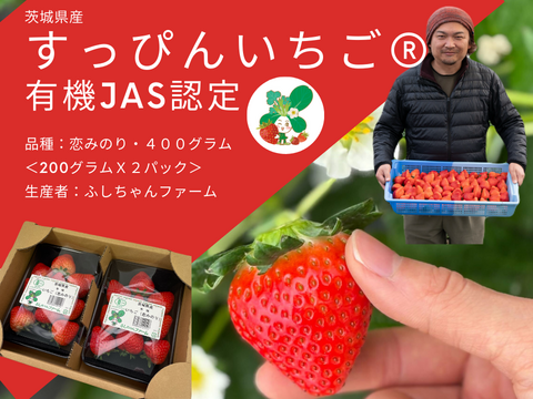 【食べチョクいちご博2024 金賞】有機JAS認定　茨城県産有機いちご（恋みのり　200gｘ2パック）