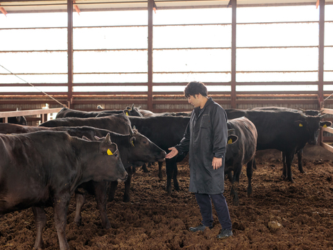 「健康な牛は内臓も健康♪」同業者ご用達！北海道産牛・黒毛和牛の味付きミックスホルモン（味噌）250g焼き肉用