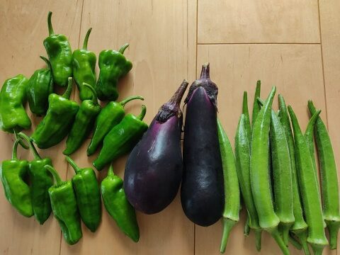 ✨カボチャ約1.5㎏と旬のお野菜セット✨