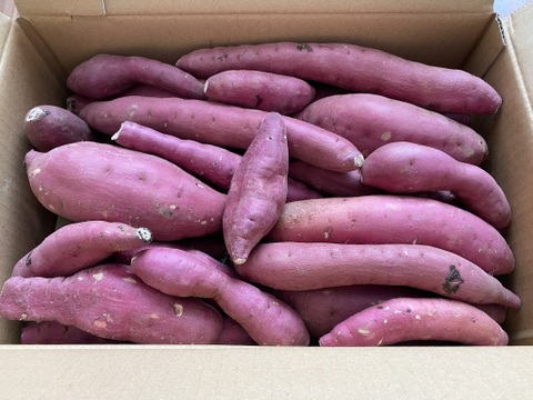 超お得！食品ロス削減応援・訳あり紅はるか5キロ以上！目一杯詰めます。