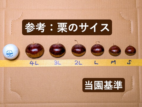 まるまるホクホクあまーい利平栗　2㎏（80～100個）　クール便でお届け