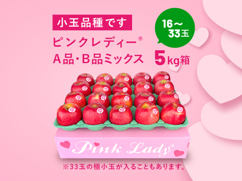 発送中🍎ピンクレディー®︎  5キロ箱 16玉〜33玉サイズ  長野県 信州 安曇野 リンゴ 幻 幻のリンゴ 予約 希少 ID64029 ピンクレディー