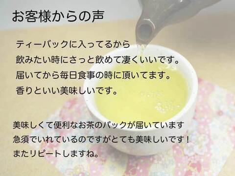 【業務用】猿島茶ティーバッグ／5gｘ100　水出しもお湯出しも美味しい　季節を選ばないお茶　緑茶　さしま茶