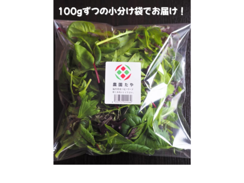【福井県産】プロ用ベビーリーフ【100g×5袋】