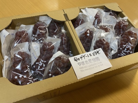 『二箱セット』生産量日本一『山形高畠産デラウェア』（6房前後）