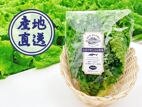 山桜いぶしベーコン200gとケールとレタスのサラダセット80gx2袋