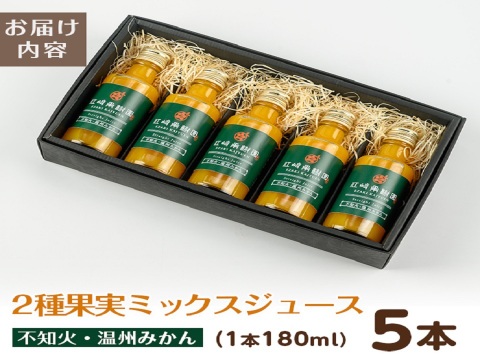 【夏ギフト】贅沢飲み切りタイプ！2種果実ミックスジュース5本セット