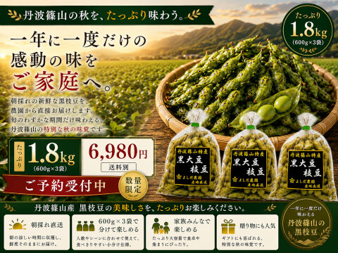 丹波篠山 黒枝豆 1.8kg( 600g × 3袋 ) 【令和7年新豆・予約販売】 産地