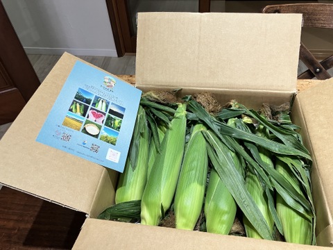 プチっと弾ける！フルーツのように甘いとうもろこし『クリスピーホワイト』10本入り