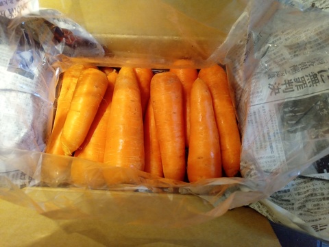 【深雪から掘った！】甘～い！雪下にんじん　5kg