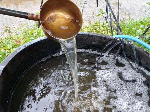 掘りたて送ります🫚新生姜２KG 酢漬けにピッタリ！爽やかな香り！天然の肥料（微生物や海水）を使って育てました！栽培期間中農薬・化学肥料不使用 ショウガ/しょうが