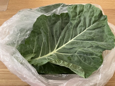 【本州エリア】【鮮度抜群】農薬・化学肥料不使用栽培のケール【1ｋｇ 1300円】