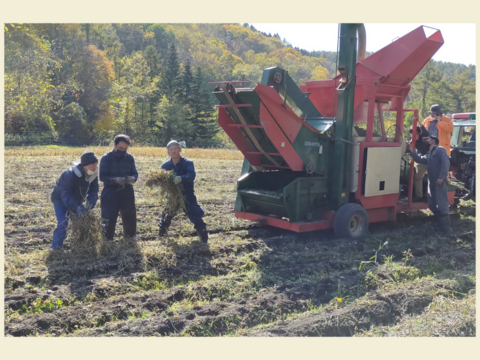 優しい味わい！農薬不使用の有機大豆！800g  北海道の大地で育ったとよまさり　1月20日ころから発送予定