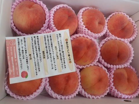 🍑珍しい桃　まどか　約3kg 8～14玉　8月中旬発送【ASIAGAP認証農場：津軽農園】　安心・安全な桃　収穫した日に発送　家庭用　農家直送【朝どれ】