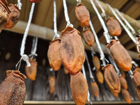 ★自然栽培品　干し柿　愛宕柿　1パック12個入り　天日干し自然乾燥品