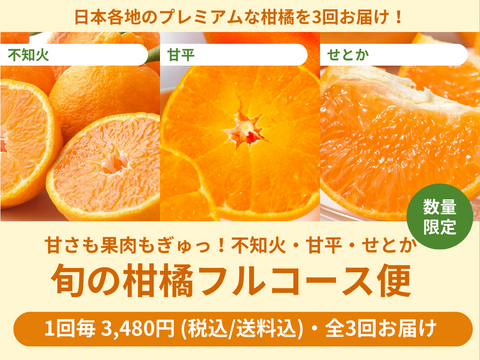 【限定300セット】旬の柑橘フルコース便（食べチョク公式）