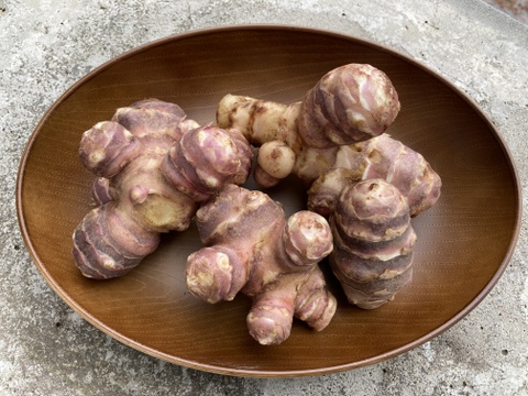 訳あり品【農薬・化学肥料不使用】自然農法で育った紫菊芋　1kg