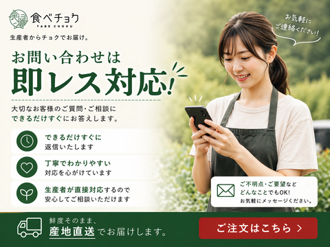 80サイズ(M)】厳選！湘南地区の農家(10チーム)が協力！！旬野菜食べ