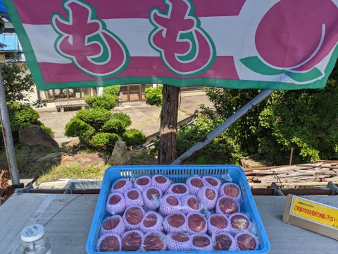 桃直売品