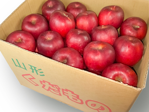 【お菓子づくりに！】山形県産りんご　紅玉10kg　※フルーツキャップなし