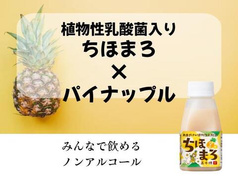 【夏限定商品】あまざけ+乳酸菌 ちほまろ パイナップル 150g 12本セット 熨斗対応可