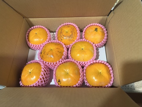 サクサク食感、激甘！「太秋柿」(ご家庭用・3kg)