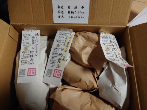 【熟成さつまいも3種盛】今一番甘い💕さつまいも食べ比べ🍠🍯《厳選》安納芋・紅はるか・安納黄金（3kg）種類別の蜜溢れるさつまいも🍠✨ひとつひとつ紙に包んでお届けでギフトにもオススメ🎁熨斗◎