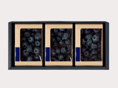 ちょっとした贅沢に！果実たくさんの特別なトヨヒルセット【C】生ブルーベリー 100g×3pc