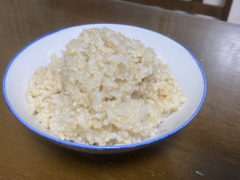 農薬を使わないお米　コシヒカリ10kg『玄米』