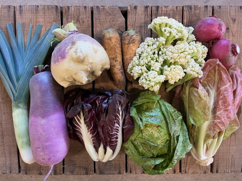 農薬・化学肥料不使用！西洋野菜とカラフル野菜セット！！