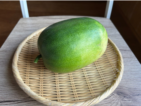 奥出雲産自然栽培姫とうがん(2個)