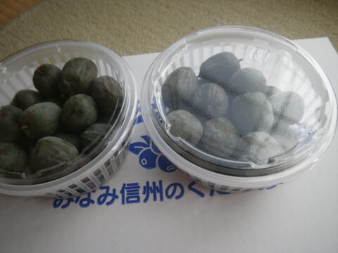 サル梨 （こくわ） の完熟果実 ４パック ５００gマタタビ科 幻の果実