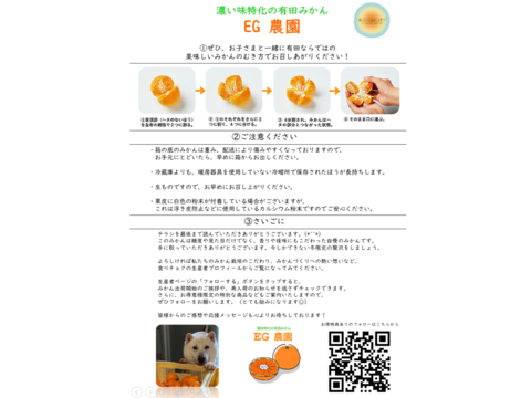 【贈答用】濃い味好きのための有田みかん 5キロ箱 和歌山県 有田 みかん S,M,Lサイズ