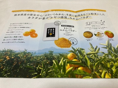 【ヨーグルト専用】まるごとみかんパウダー30g【健康食品】